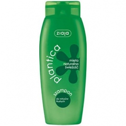 ZIAJA Plantica V Szampon mięta 200ml KatB
